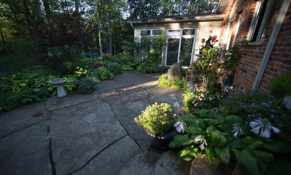 garden view