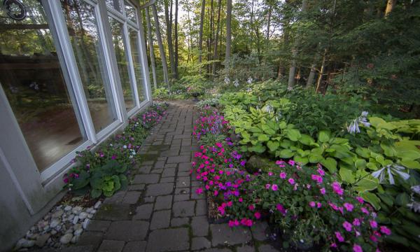 garden view